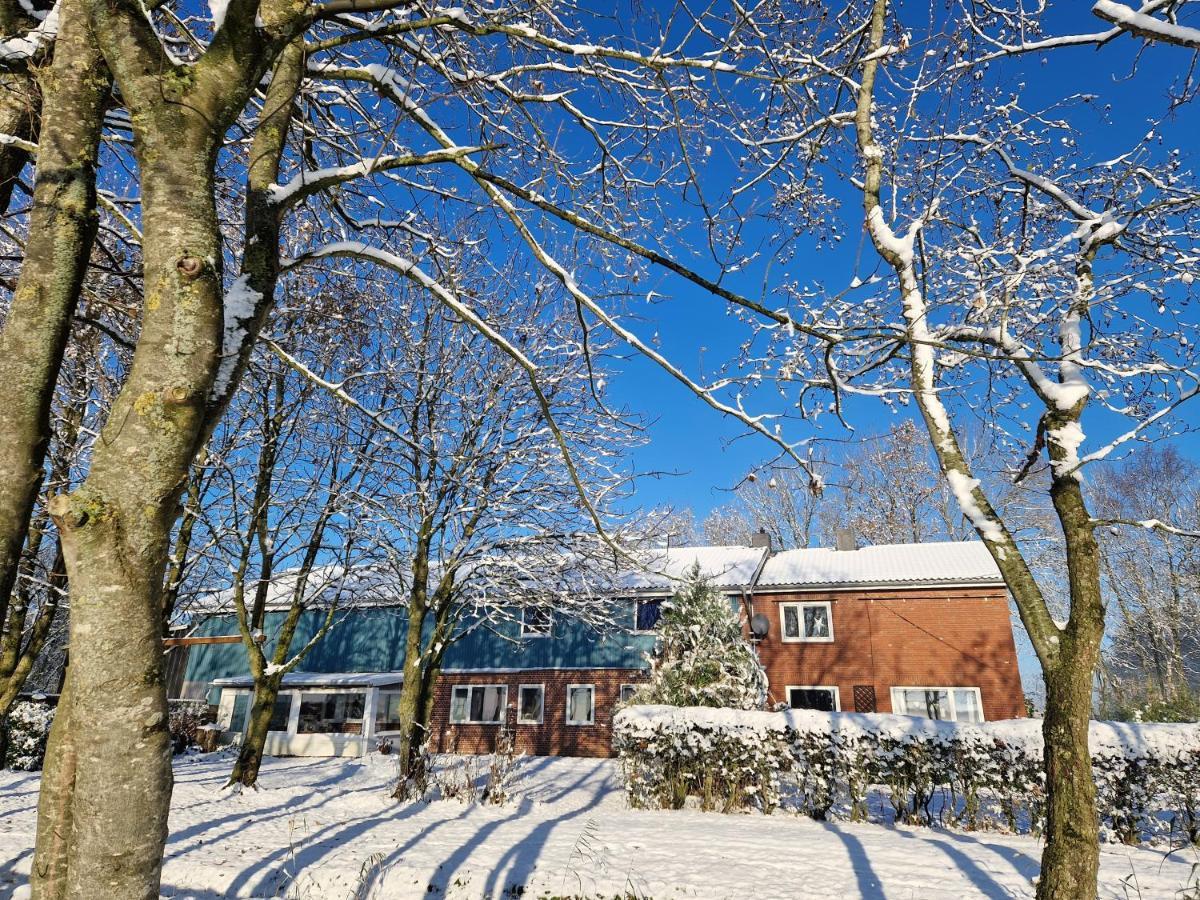 Ferienwohnung Sort Sol Grellsbuelldeich 7 Aventoft ภายนอก รูปภาพ