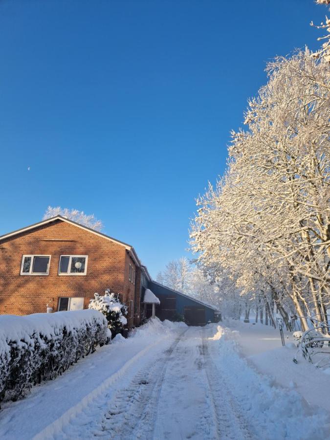 Ferienwohnung Sort Sol Grellsbuelldeich 7 Aventoft ภายนอก รูปภาพ