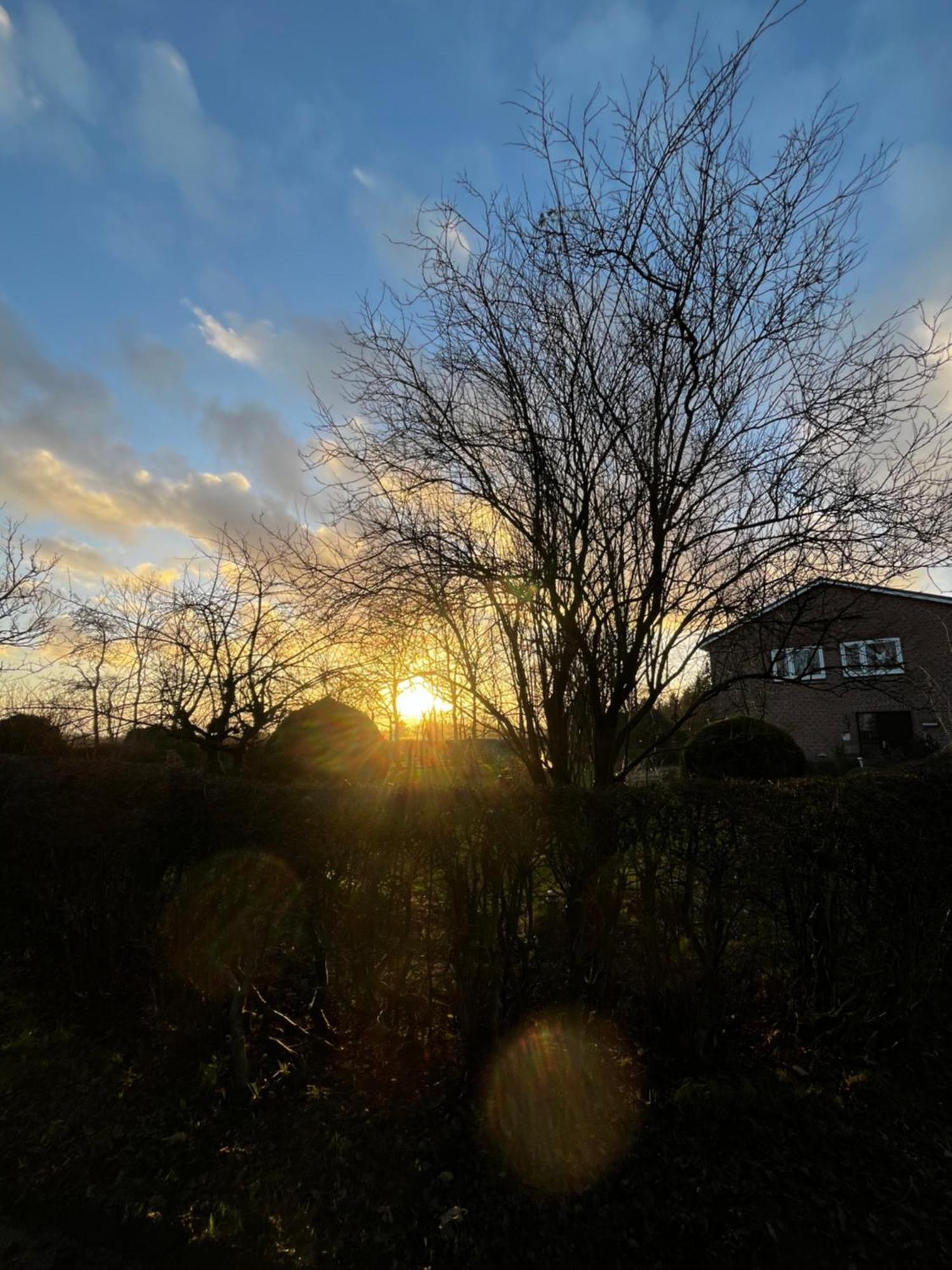 Ferienwohnung Sort Sol Grellsbuelldeich 7 Aventoft ภายนอก รูปภาพ